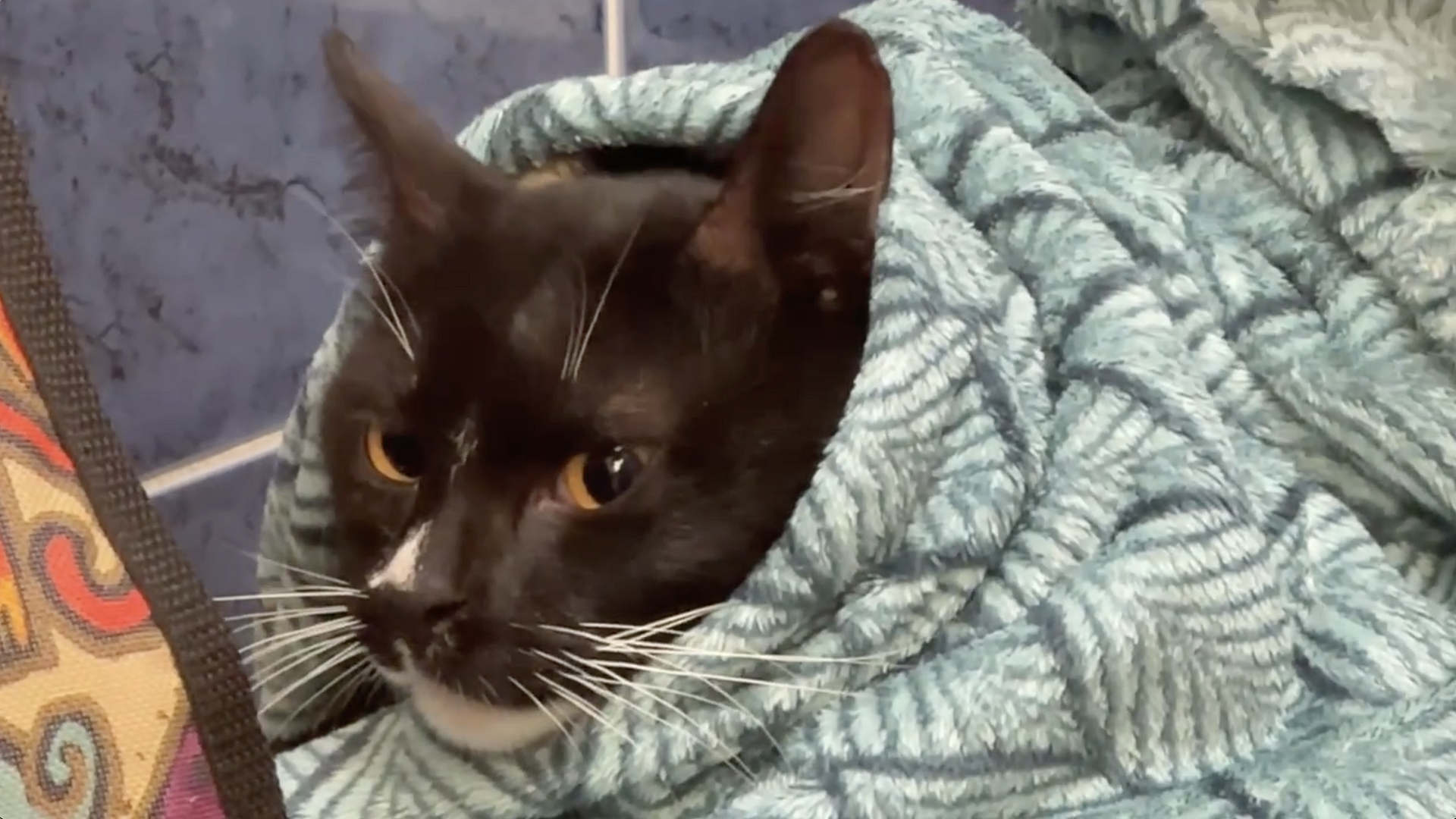 � ���������� ���������� � ��������� ����, ���������� �� ���������� ��������