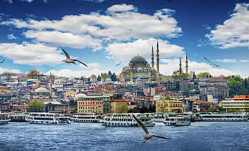 Турция не видит причин для паники за экономику