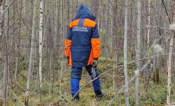 На месте пропажи Усольцевых в тайге под Красноярском нашли следы медведей