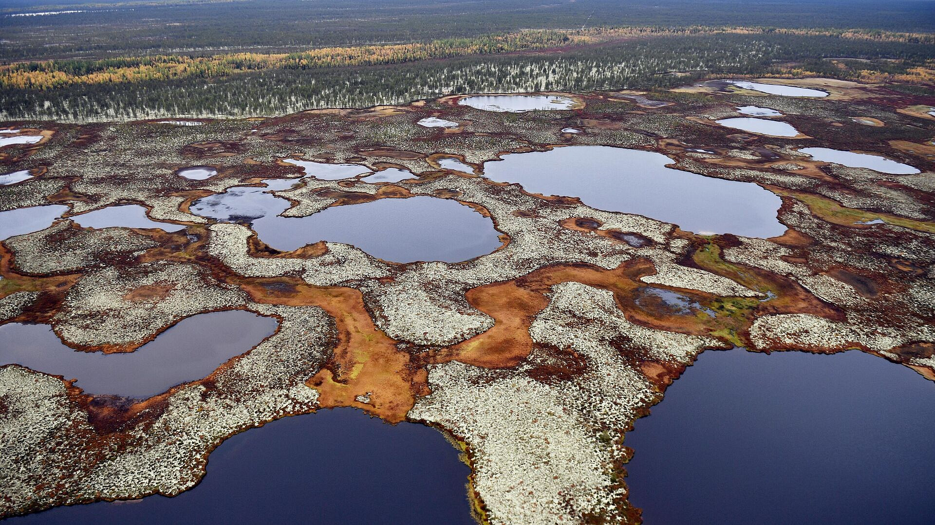 ������ ������� ����������� �����, �������� �� ������