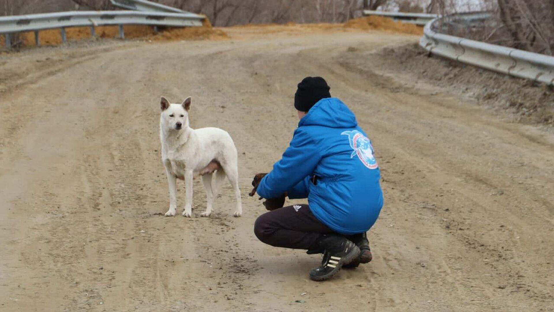 В Кургане спасли собаку и восемь щенков из затопленного СНТ