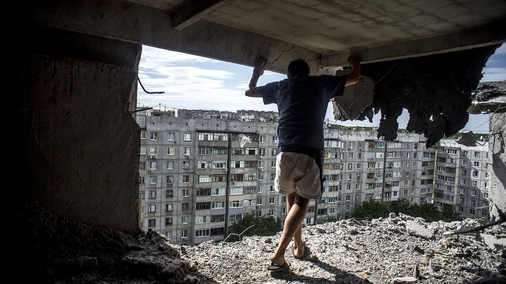 ���-������������ ��� ��������� � ������ ����������� ����� �� �������