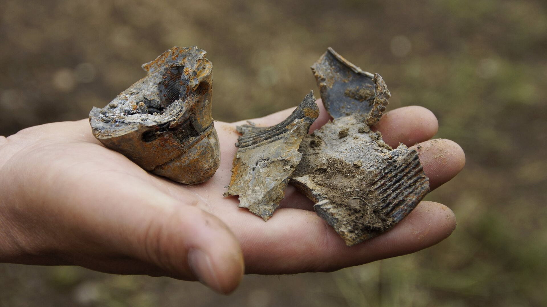 �������� ��������� �������� �������������