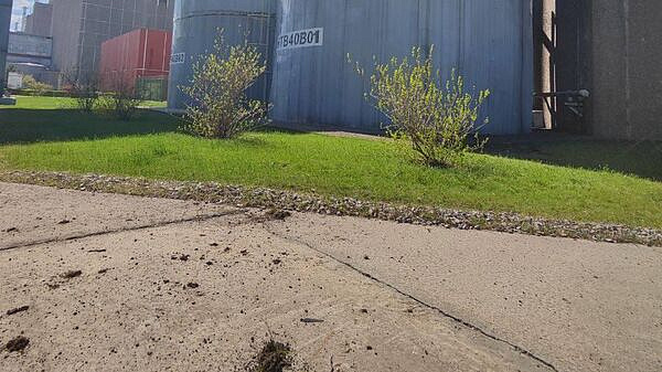 �� ������� ���������� ������������ �� ������������ � ������ �� ����