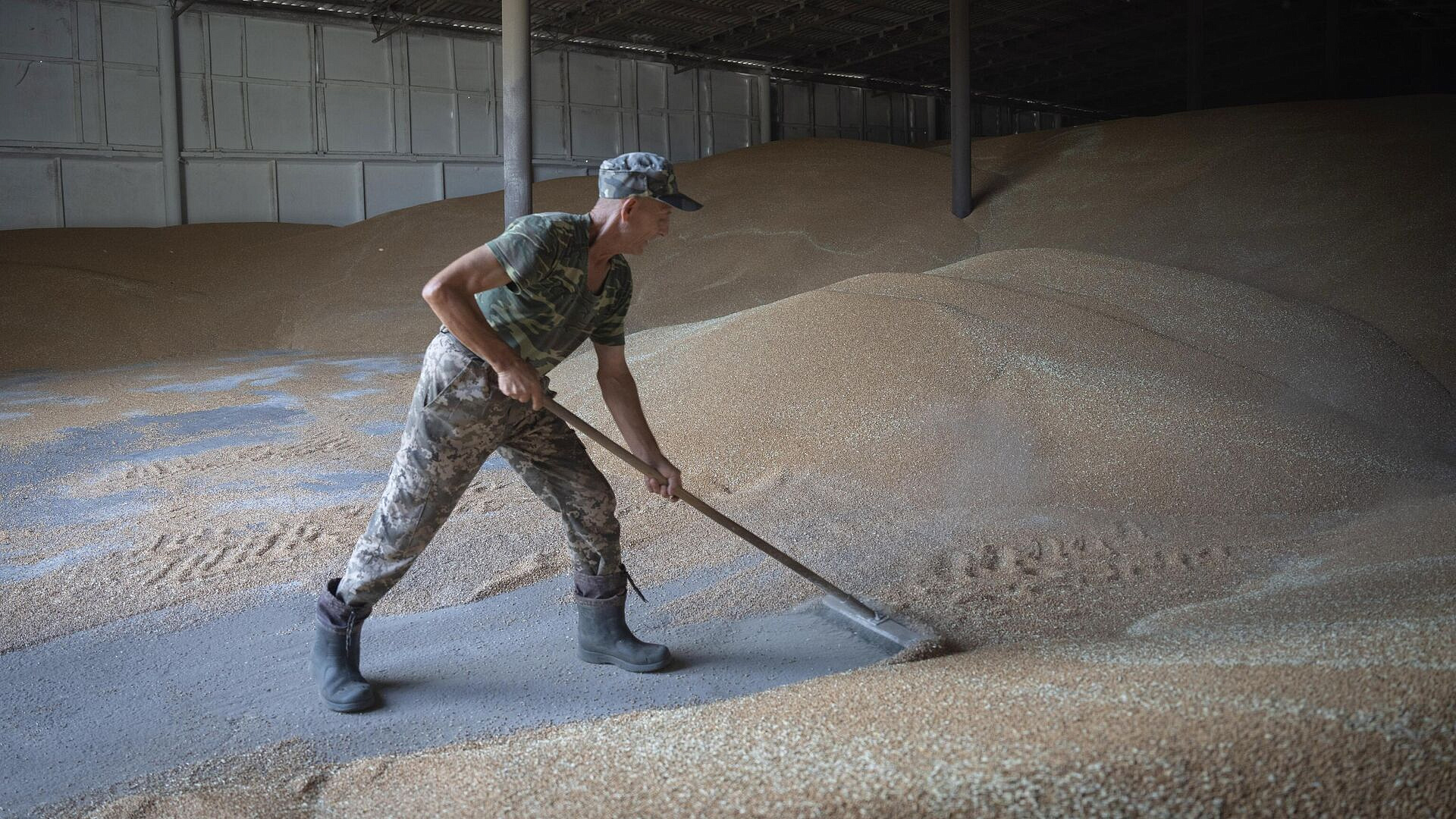 � ����� ������� ���������� ����� ���������� ���������� �������� ������