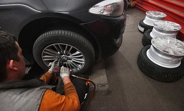 � ������ �������� "�������������" �����