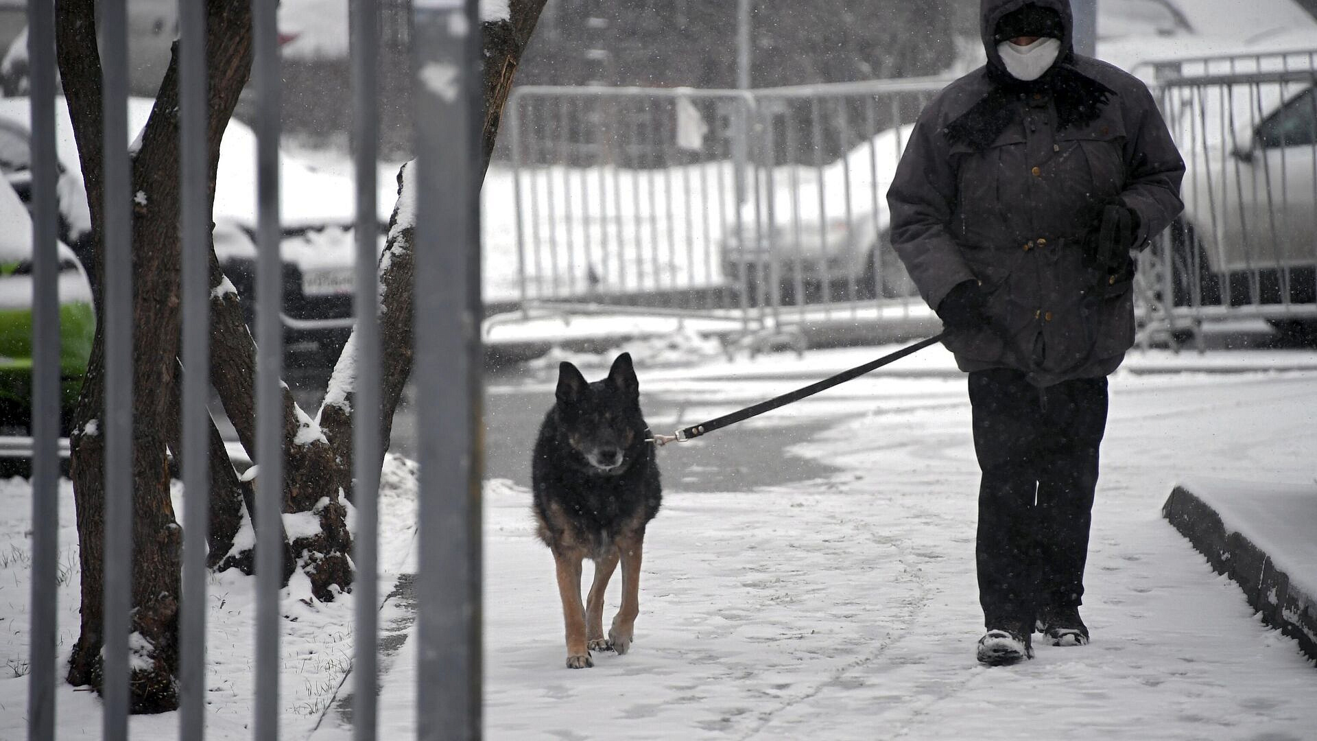 ������� ���������, ��� ������� ������ ������ �� �����