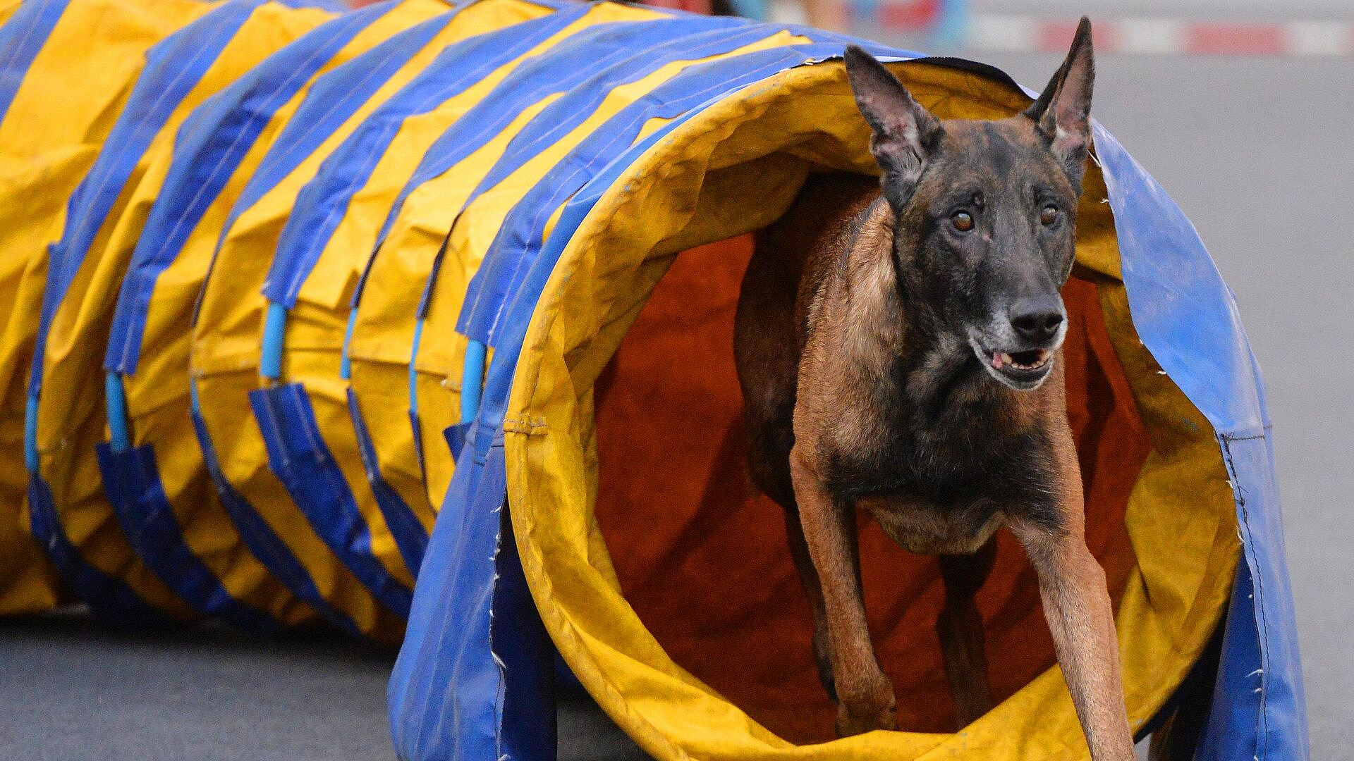 ������ �������� ��������� �� �������� ������� 16 ���� � ������