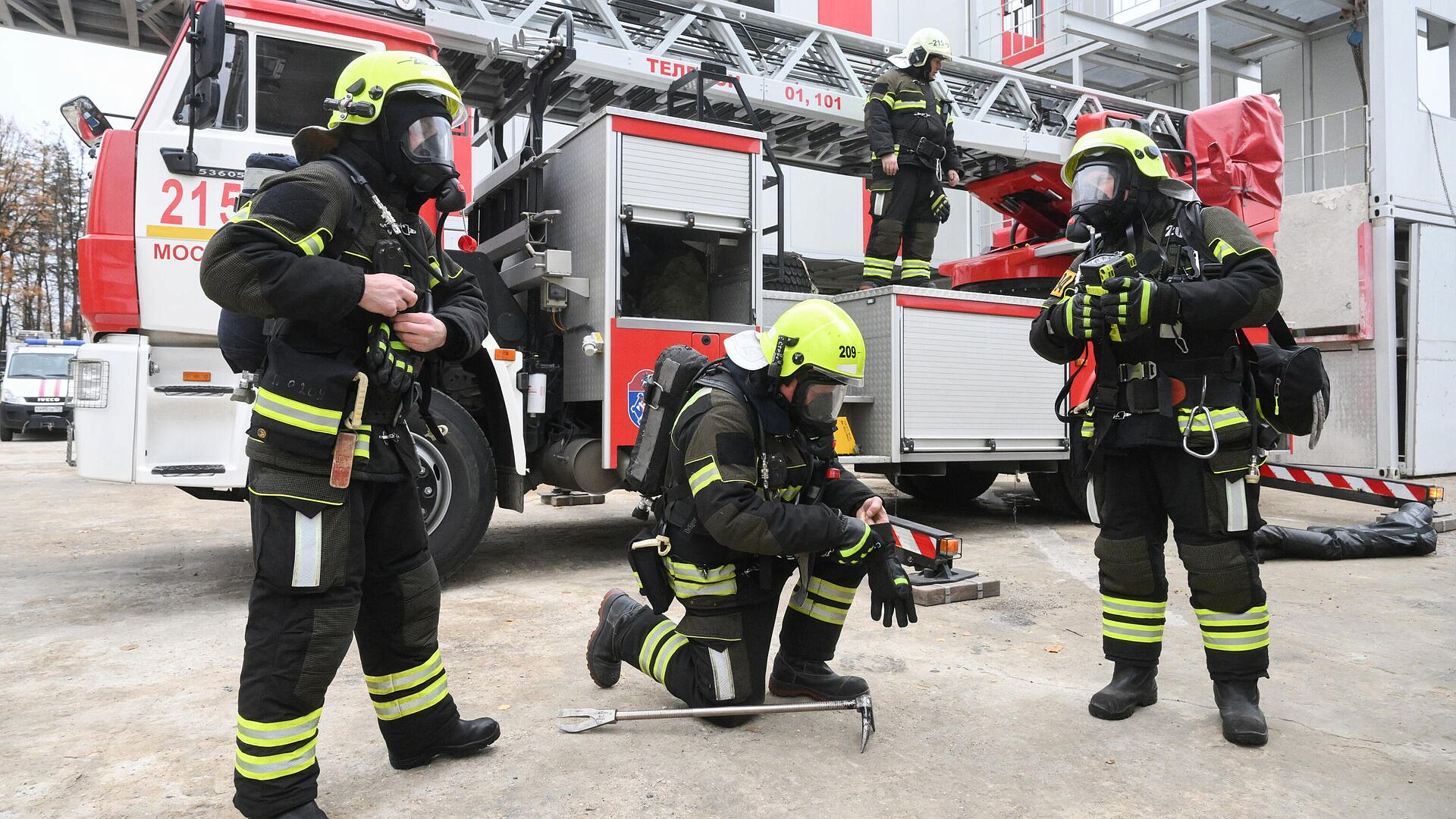 ���������� ��� ����������� �� ��� ����� 81 ������ ������������� ���������