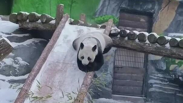 � ���������� �������� ��������, ��� ����� ������ ������ � �����