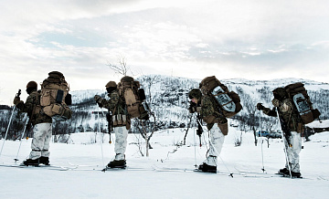 Более десятка солдат на учениях НАТО в Швеции вернулись домой с травмами