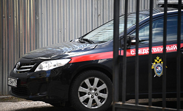 Мизулина обратится в СК после сообщений об избиении школьницы в Нижнекамске