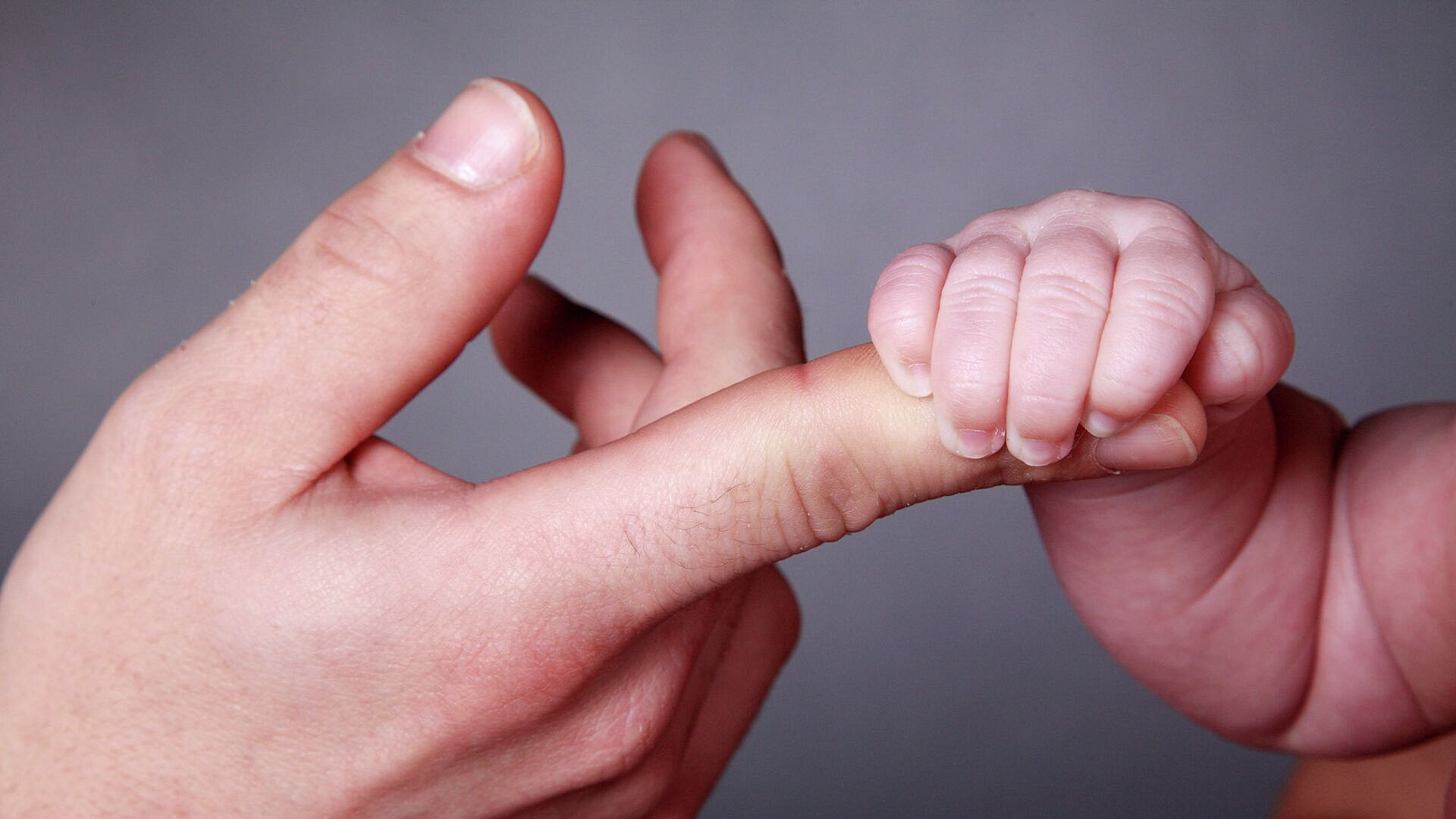 � ������ �������� ����� ���� ��������� ����� � ������