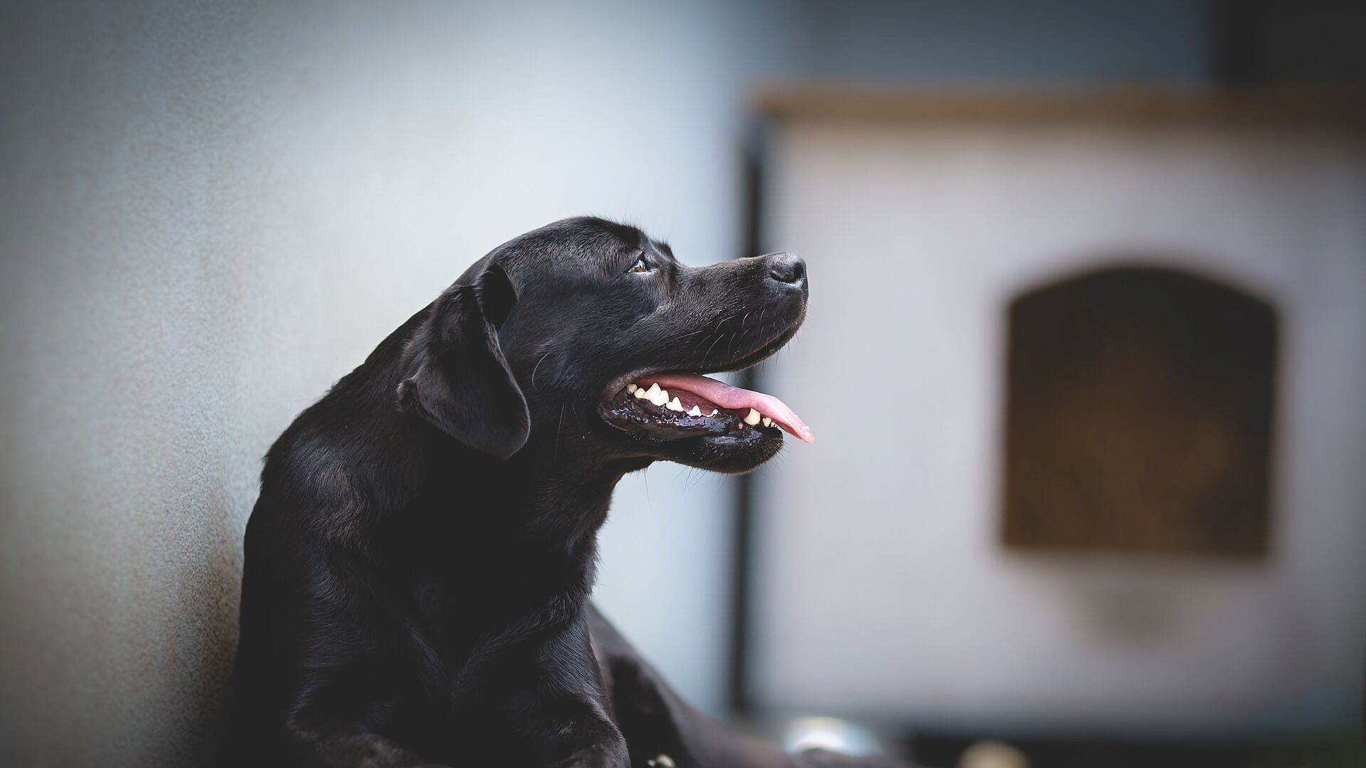 ������� ���������, ��� ������ ������������ ������