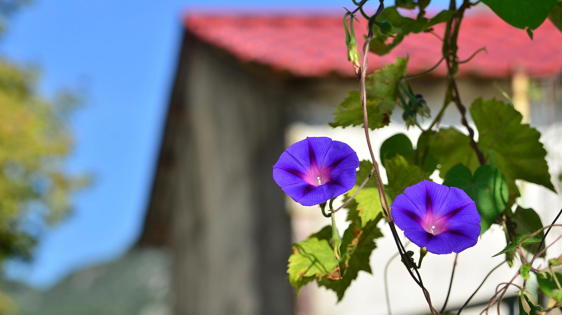 �������� ������������ � �������� ����� �� ����������� ����������� ��������