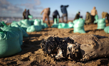 На пляжах Кубани зафиксировали новые выбросы мазута после ЧП с танкерами