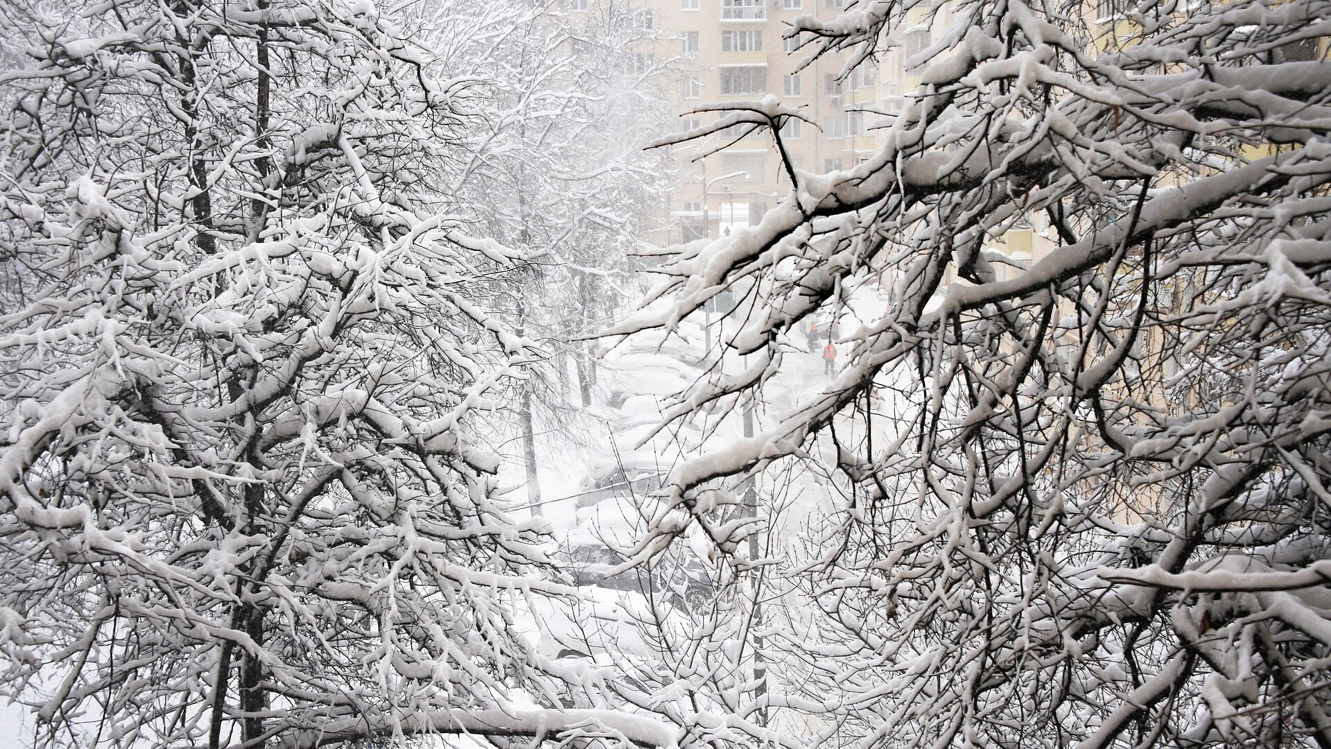 Вильфанд рассказал о погоде в центре России на следующей неделе