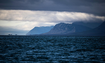 ������ ������� �� ������� ������������ �� �������� � �������, ������� � ���