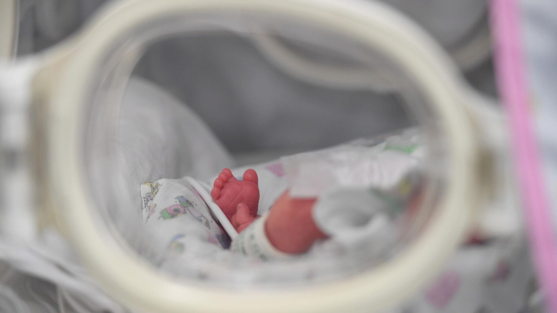 Котяков рассказал, сколько семей получили маткапитал с начала года