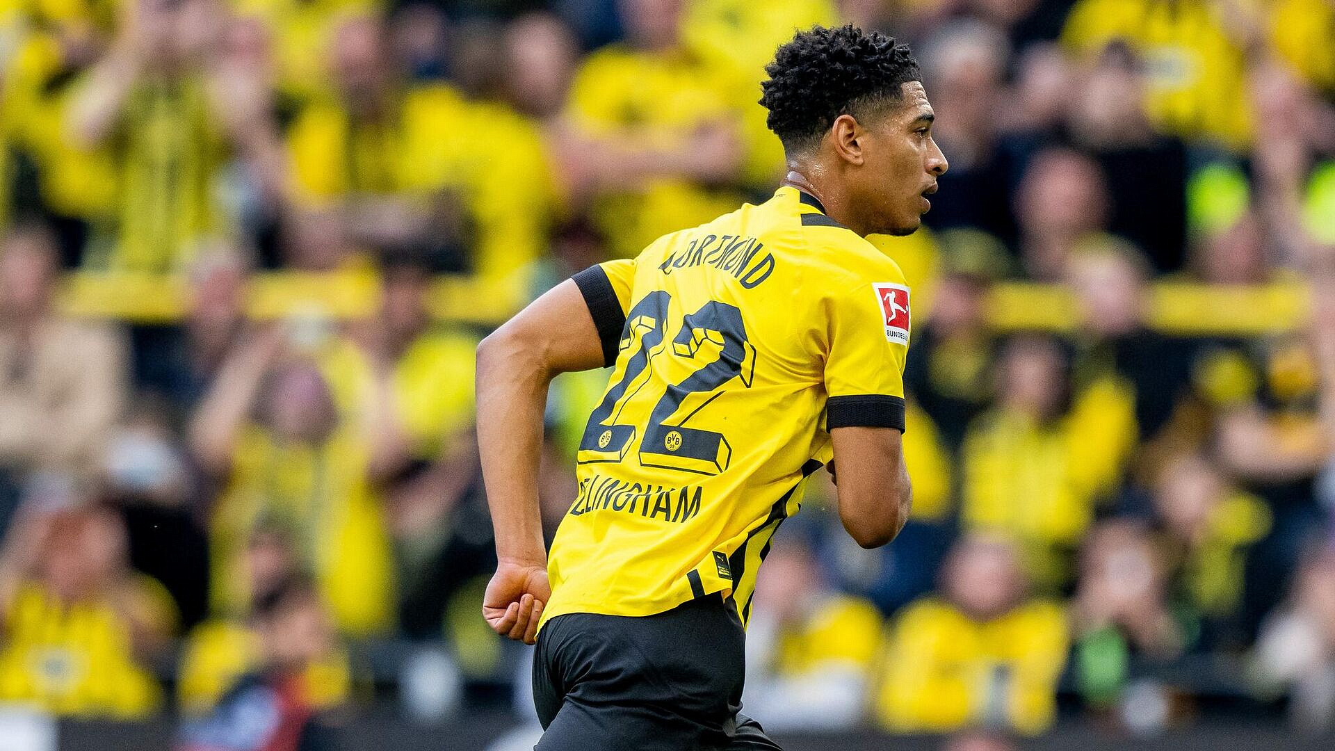 "��������" � "��������" ������� ������ � ����� ����������