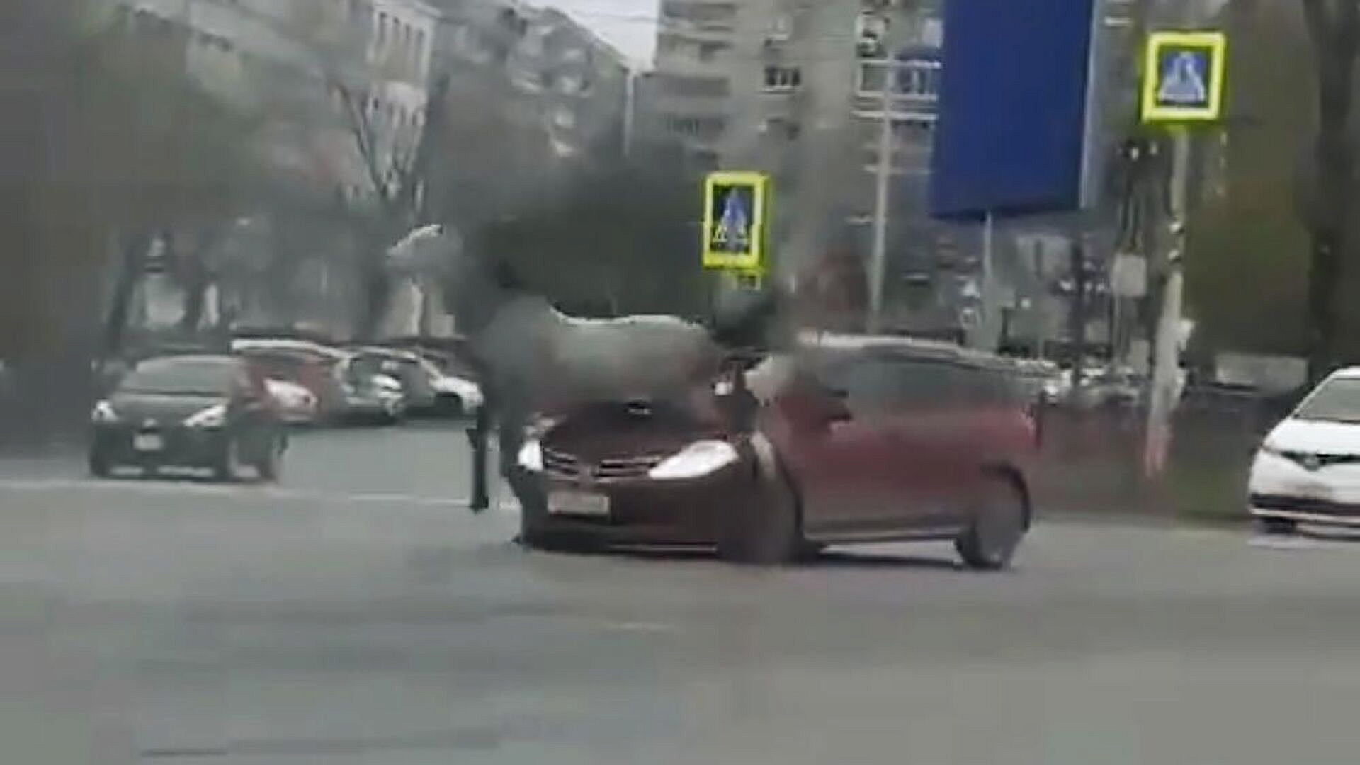 � ���������� ���� ������ � ����� � ������������� ���