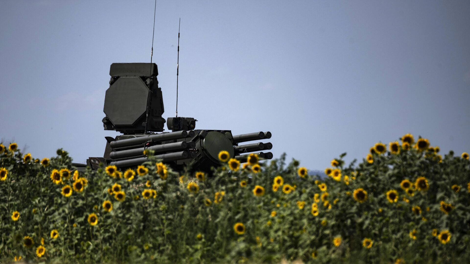 ��� ���������� ��� ���� �����������, �������� �� ������