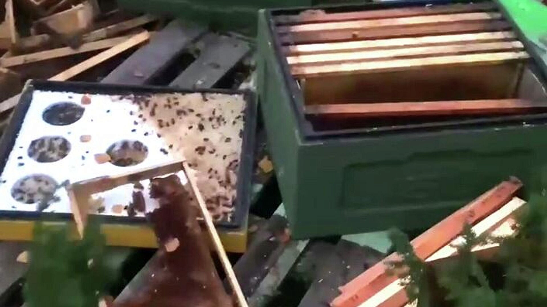 ������� ��������� ���������� ������