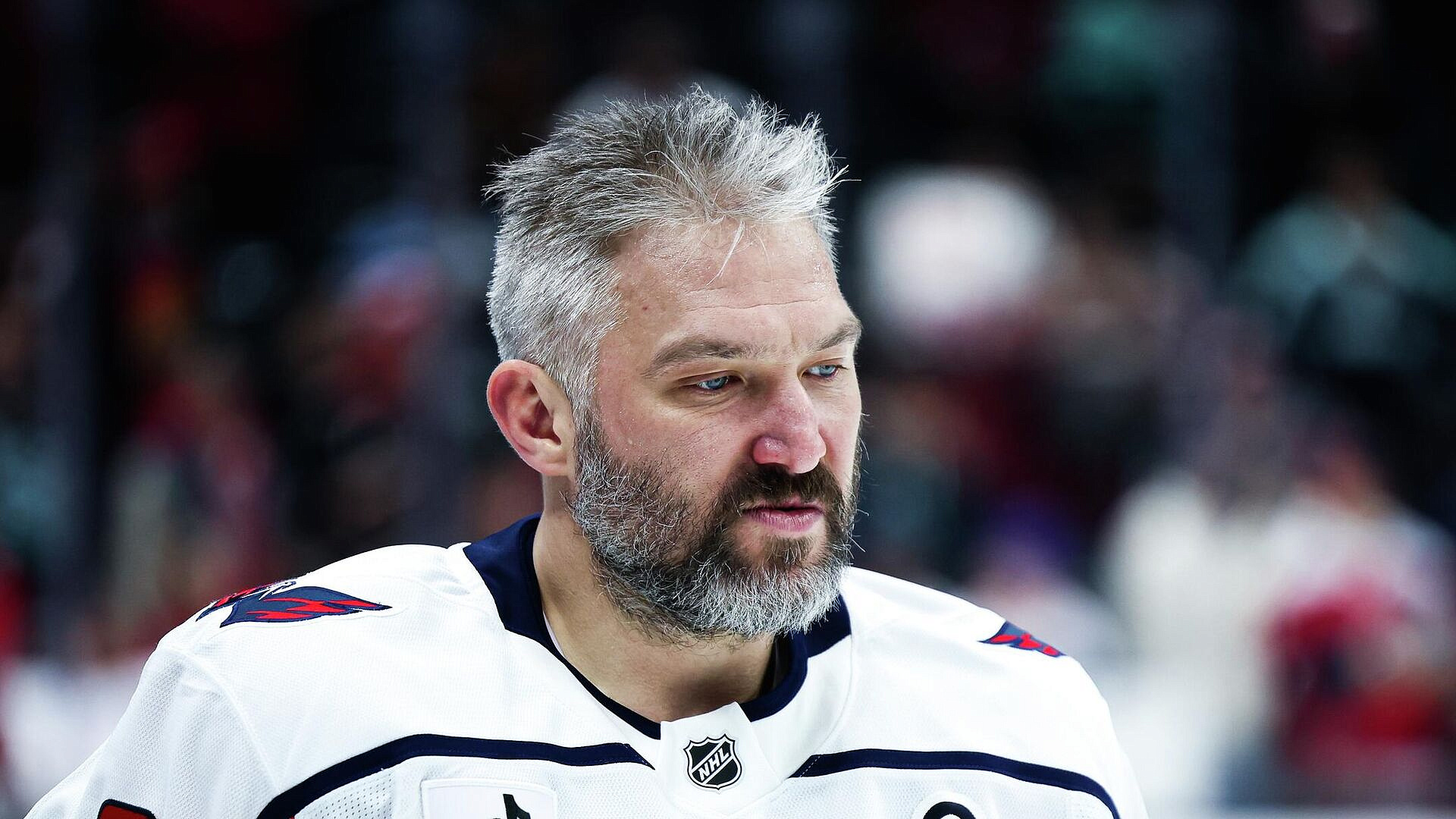 "���������" � ��������� �������� "�����������" �������