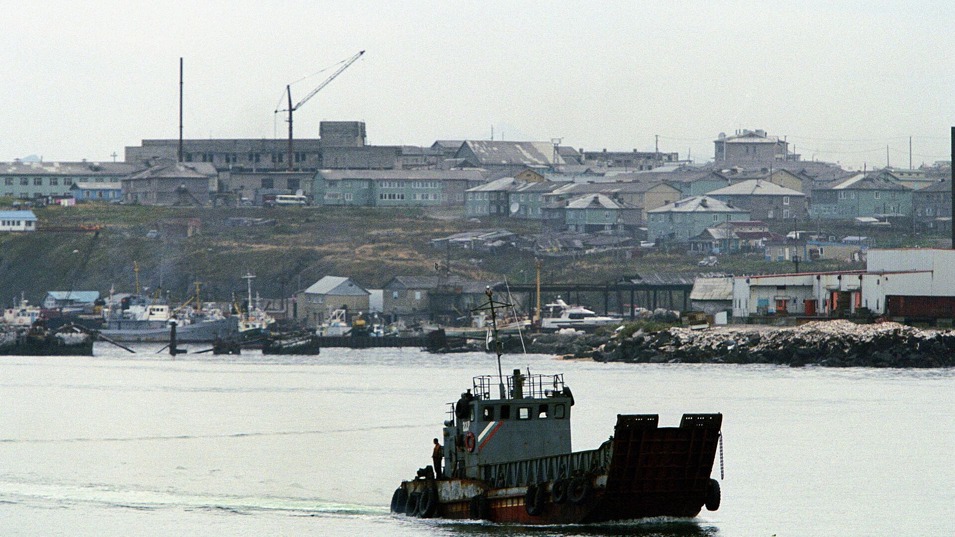 Сахалинский депутат прокомментировал слова японского министра о Курилах