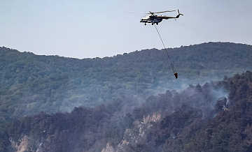 Возгорание в Геленджикском лесничестве локализовали