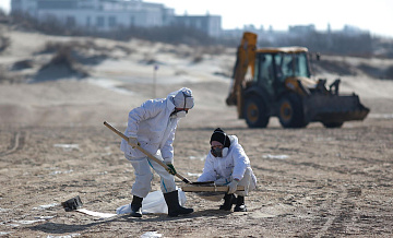 На анапских пляжах зафиксировали новые выбросы мазута