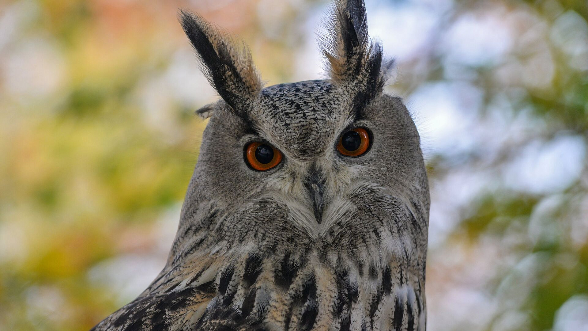 �������� � ����� ������ ������������ � ���������� ��������� ����� �������