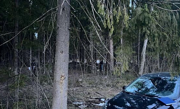 Прокуратура контролирует ситуацию с нападением на полицейских в Подмосковье