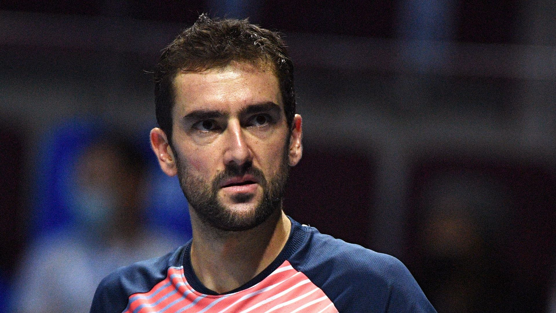 Чилич снялся с US Open из-за травмы