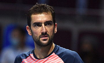 Чилич снялся с US Open из-за травмы