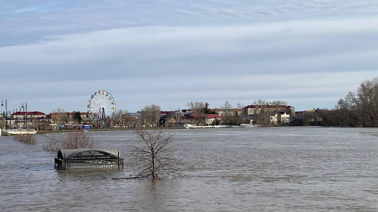 � ����� ���� � ���� ��������� ������� ������� �� 22 ����������