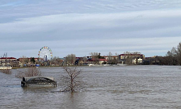 В Ишиме вода в реке превысила опасную отметку на 22 сантиметра