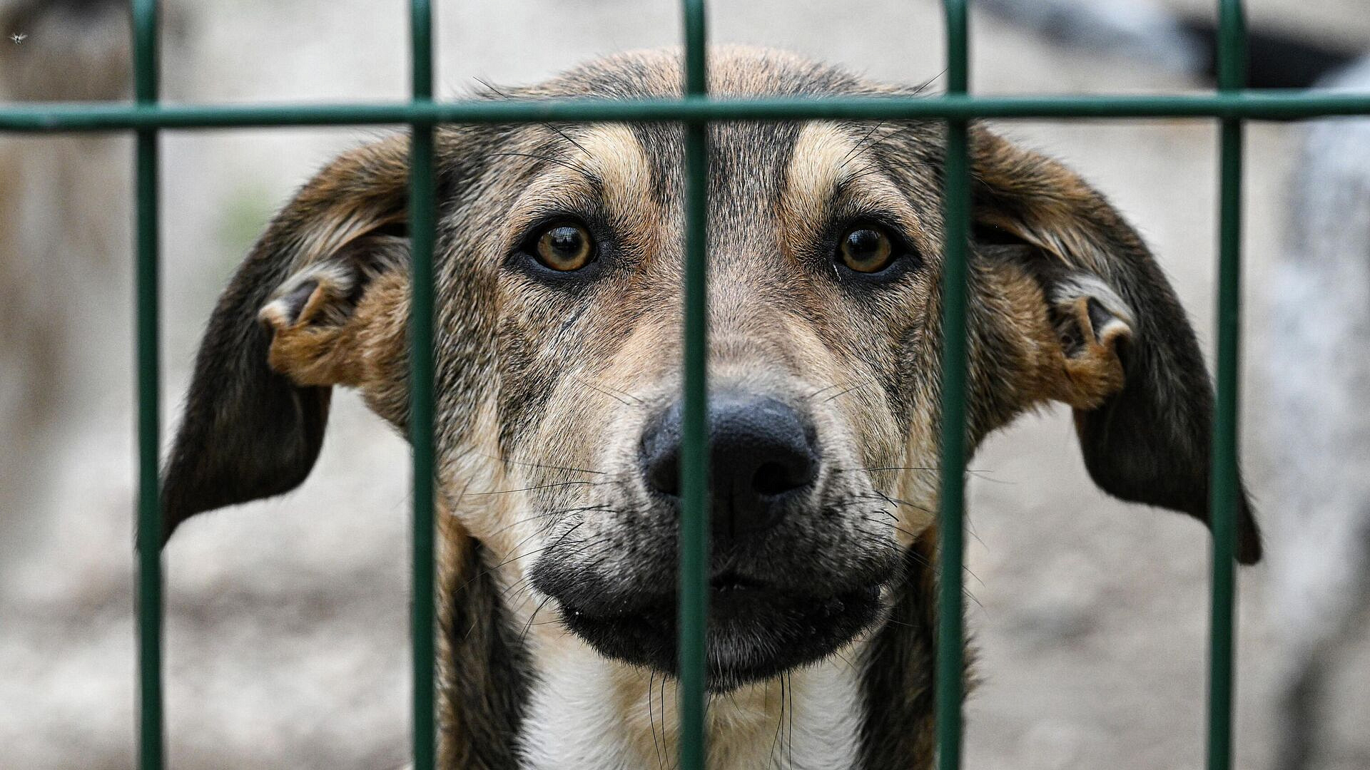 � ���������� �������� ���������� ������� ��������� � ���������� ���������