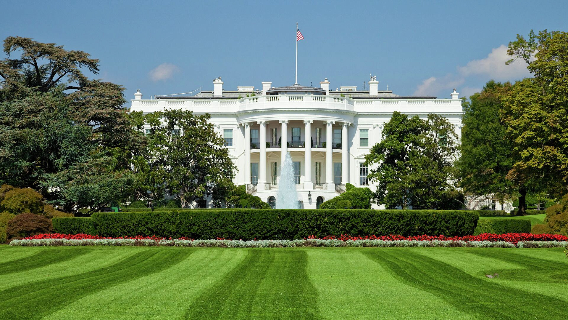 ����� ��������, ��������� �� ����� �������� ����� ������ ����