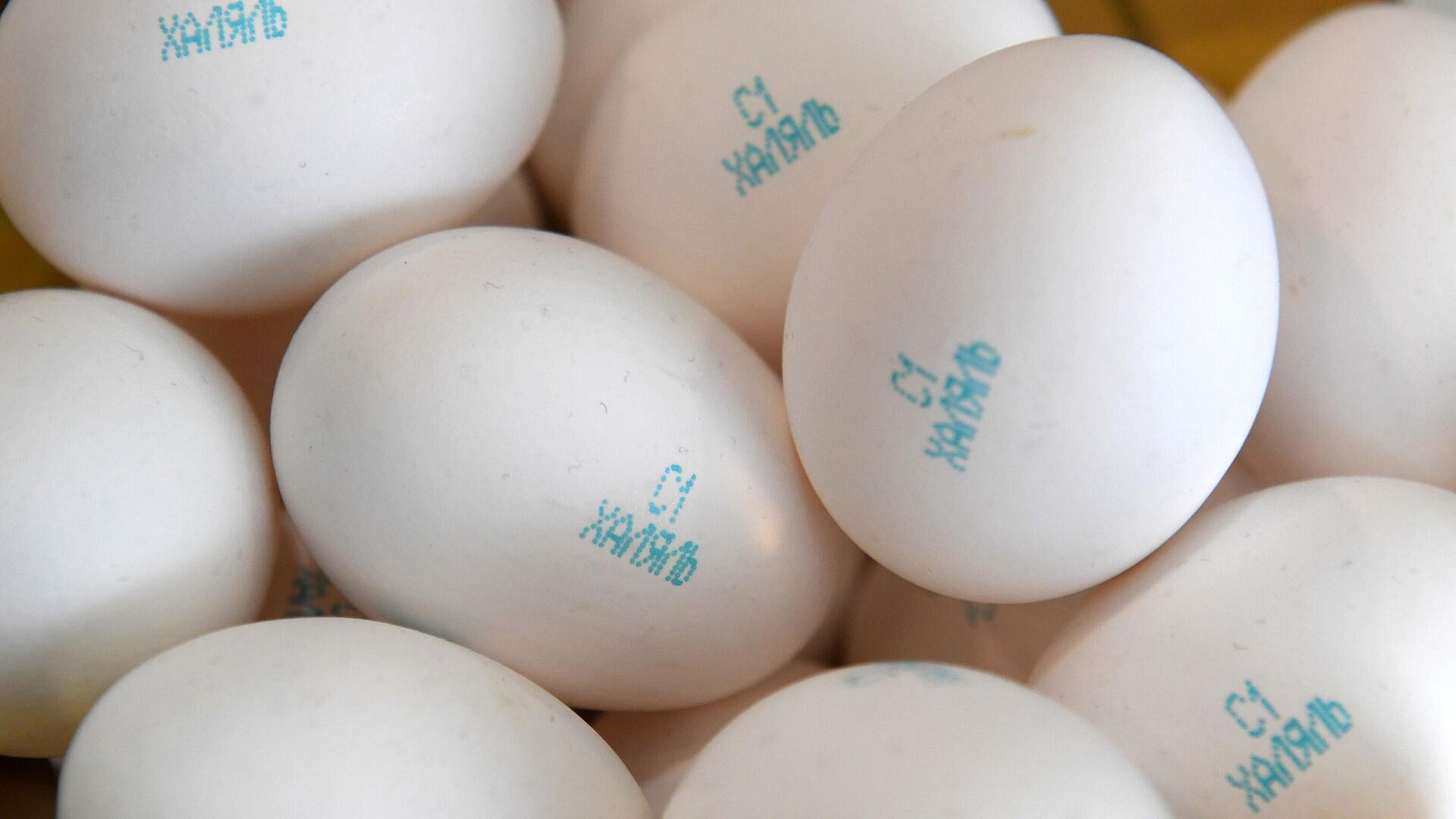 Комитет ДУМ Татарстана первым прошел проверку по новому национальному ГОСТу