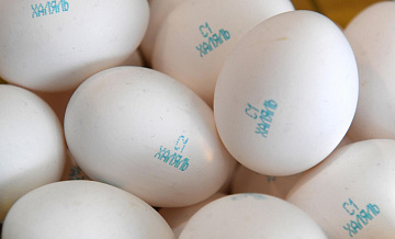 Комитет ДУМ Татарстана первым прошел проверку по новому национальному ГОСТу