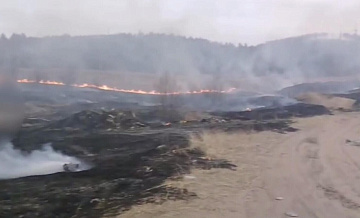 В России за сутки потушили тридцать лесных пожаров