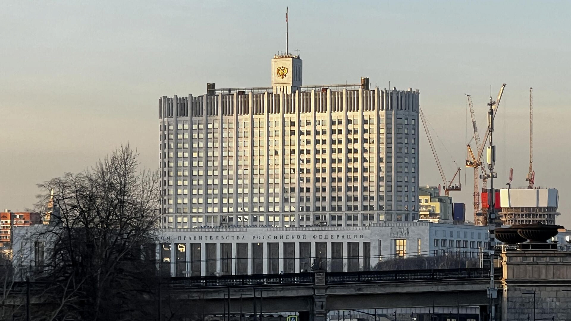 ������������� �������� ����� 650 ��������� ������ �� ������������