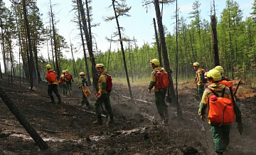 В России потушили 28 природных пожаров за сутки
