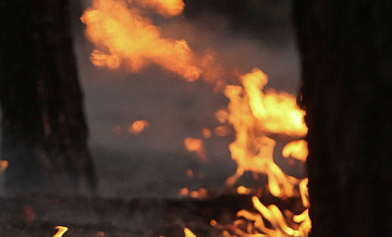 В России за сутки потушили 44 природных пожара