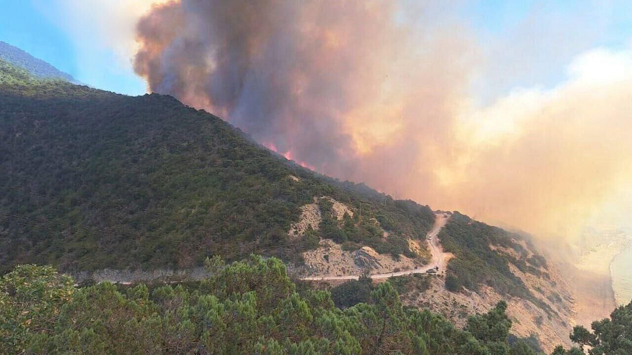 ������� ������� ������ ��� �������������� ����������� �� 62 ��������