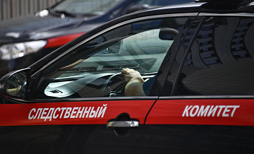 В Москве арестовали экс-преподавателя, подозреваемую в насилии над девочкой