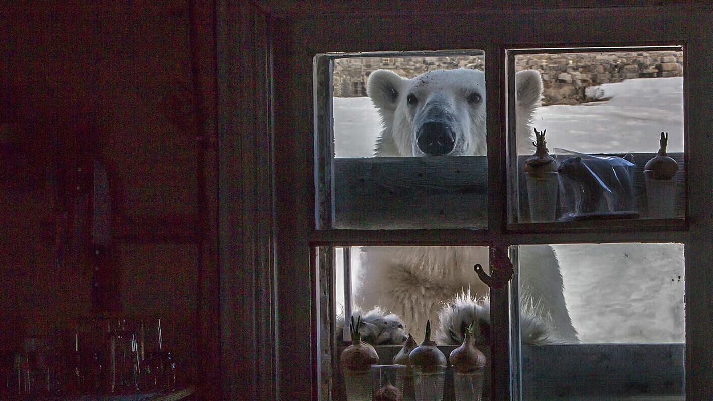 Эксперт предположил, как решить жилищный вопрос в городах Арктики