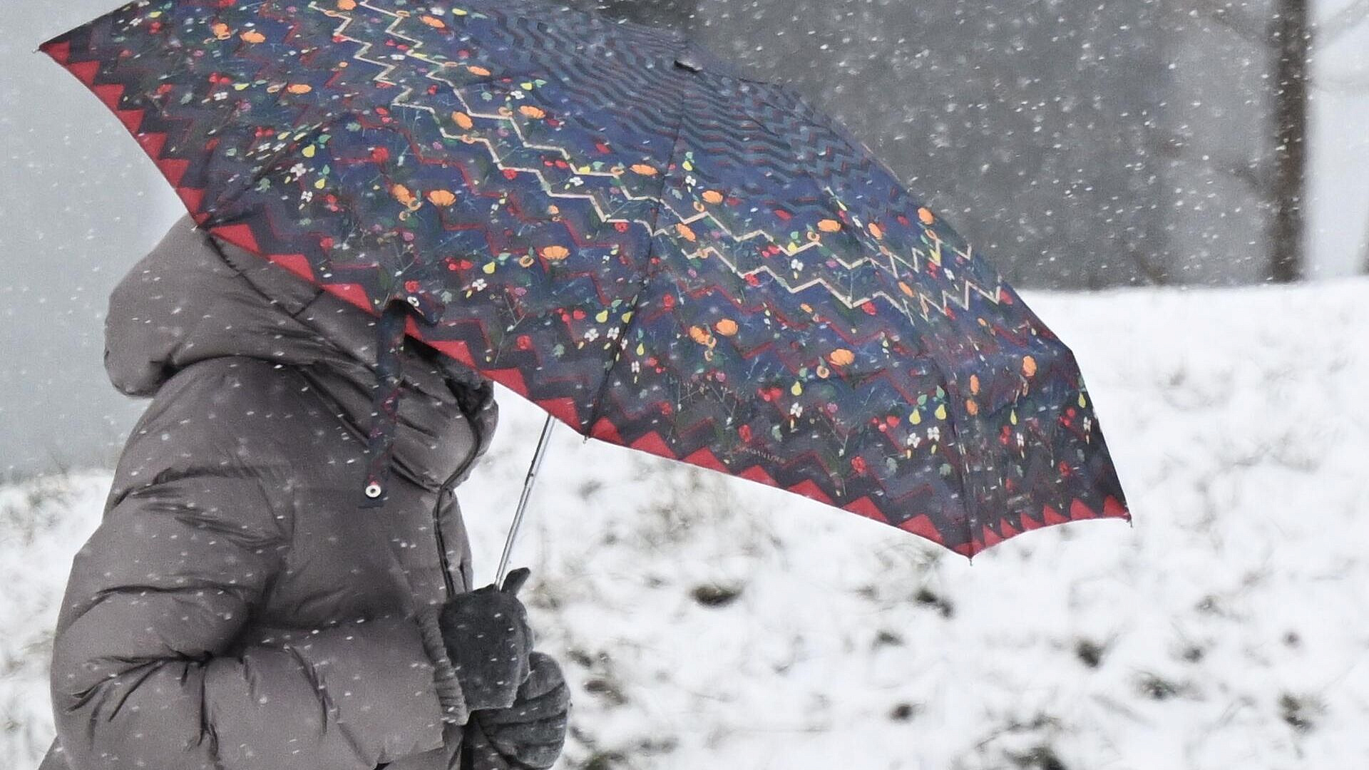 Синоптик рассказала, когда в Москве пойдет снег