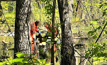 Источник рассказал подробности о девочке, которую нашли мертвой в Москве